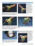 Load image into Gallery viewer, Carving North American Hummingbirds & Their Habitat
