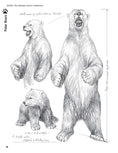 Load image into Gallery viewer, Bear: The Ultimate Artist's Reference