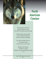 Artistic Wildlife Projects for the Scroll Saw