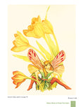 Load image into Gallery viewer, Great Book of Fairy Patterns