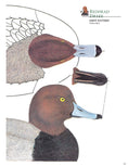 Load image into Gallery viewer, Decorative Decoy Carvers Ultimate Painting & Pattern Portfolio, Series Two