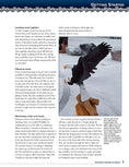 Load image into Gallery viewer, Chainsaw Carving an Eagle