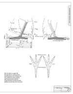 Illustrated Birds of Prey: Red-Tailed Hawk, American Kestral, & Peregrine Falcon