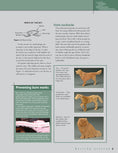Load image into Gallery viewer, Animal Puzzles for the Scroll Saw, Second Edition