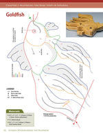 Intarsia Woodworking for Beginners