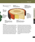Load image into Gallery viewer, Woodworker's Guide to Wood (Back to Basics)
