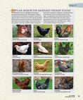 Load image into Gallery viewer, Art of the Chicken Coop
