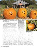 Extreme Pumpkin Carving, Second Edition Revised and Expanded