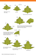 Load image into Gallery viewer, Extraordinary Origami