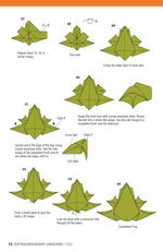 Extraordinary Origami