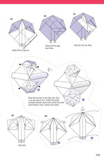 Extraordinary Origami