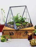 Load image into Gallery viewer, Creative Terrariums