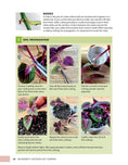 Load image into Gallery viewer, Beginner's Houseplant Garden