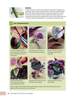 Beginner's Houseplant Garden