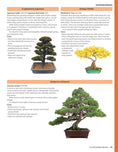 Load image into Gallery viewer, Complete Starter Guide to Bonsai