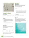 Load image into Gallery viewer, DIY Guide to Painting and Wallpapering