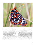 Load image into Gallery viewer, National Wildlife Federation®: Attracting Birds, Butterflies, and Other Backyard Wildlife, Expanded Second Edition