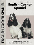 Load image into Gallery viewer, English Cocker Spaniel
