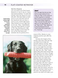 Load image into Gallery viewer, Flat-Coated Retriever