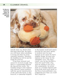 Load image into Gallery viewer, Clumber Spaniel
