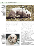 Load image into Gallery viewer, Clumber Spaniel