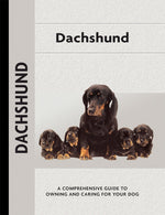 Dachshund