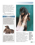 Load image into Gallery viewer, Dachshund