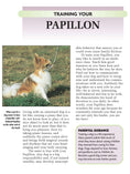 Load image into Gallery viewer, Papillon