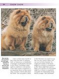 Load image into Gallery viewer, Chow Chow