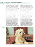 Load image into Gallery viewer, Dandie Dinmont Terrier