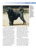 Load image into Gallery viewer, Portuguese Water Dog