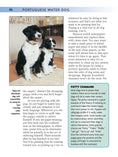 Load image into Gallery viewer, Portuguese Water Dog
