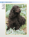 Load image into Gallery viewer, Field Spaniel