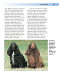 Load image into Gallery viewer, Field Spaniel