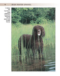 Load image into Gallery viewer, Irish Water Spaniel