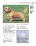Load image into Gallery viewer, Basset Fauve De Bretagne