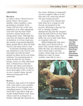 Load image into Gallery viewer, Basset Fauve De Bretagne