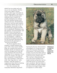 Load image into Gallery viewer, Caucasian Mountain Dog