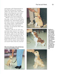 Load image into Gallery viewer, Puppy Training