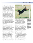 Load image into Gallery viewer, Black and Tan Coonhound