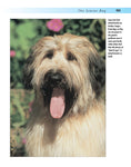 Load image into Gallery viewer, House-training Your Dog
