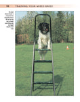 Load image into Gallery viewer, Training Your Mixed Breed