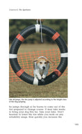 Load image into Gallery viewer, Enjoying Dog Agility