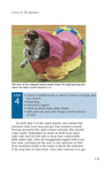 Load image into Gallery viewer, Enjoying Dog Agility
