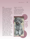 Load image into Gallery viewer, Schnoodle
