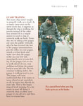 Load image into Gallery viewer, Schnoodle