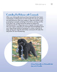 Load image into Gallery viewer, Schnoodle