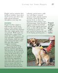Load image into Gallery viewer, Puggle