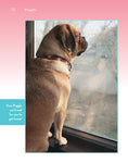Load image into Gallery viewer, Puggle