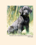 Load image into Gallery viewer, Retriever Madness